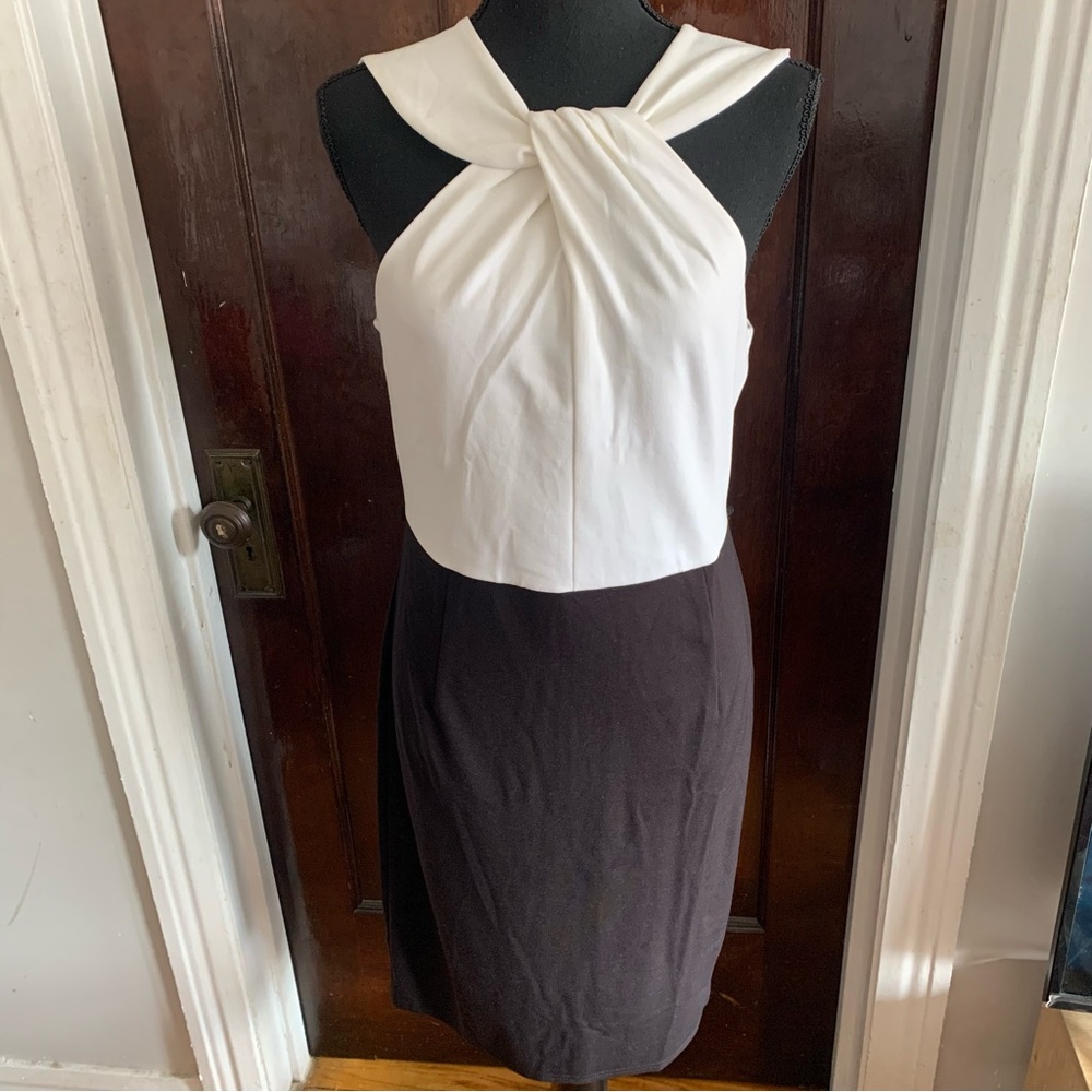 Venus Black and White Color Block Dress